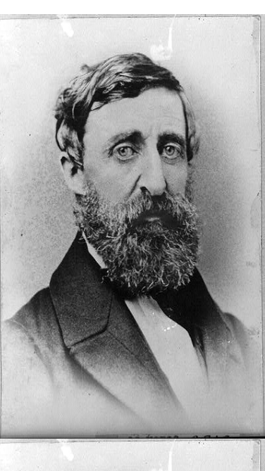 Portrait Thoreau